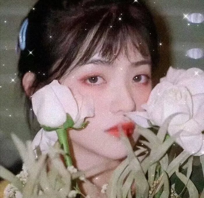 我的如意狼君国语封面