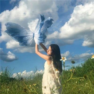 抢救巴迪封面